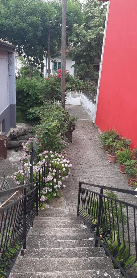 Stan Za Iznajmuvanje So Parking,Blisku Do Centar. คูมาโนโว ภายนอก รูปภาพ